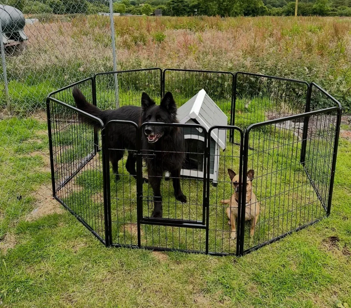 Small dog house and pen - Image 3