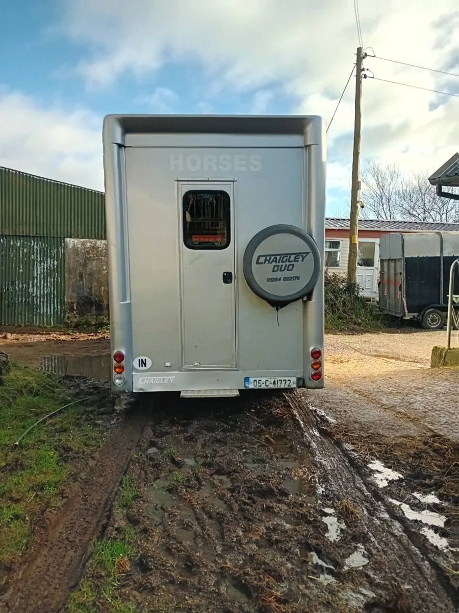 Horsehorses for sale van - Image 1