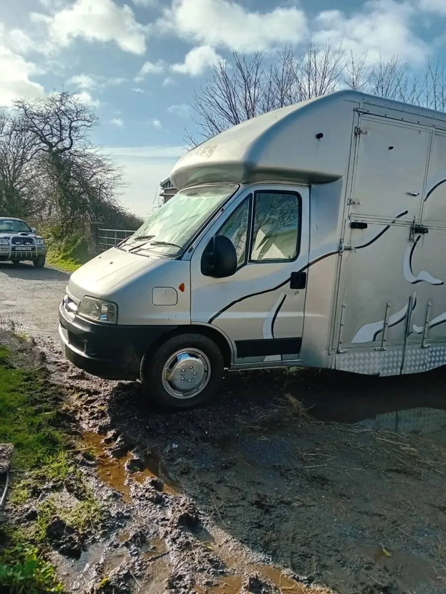 Horsehorses for sale van - Image 2