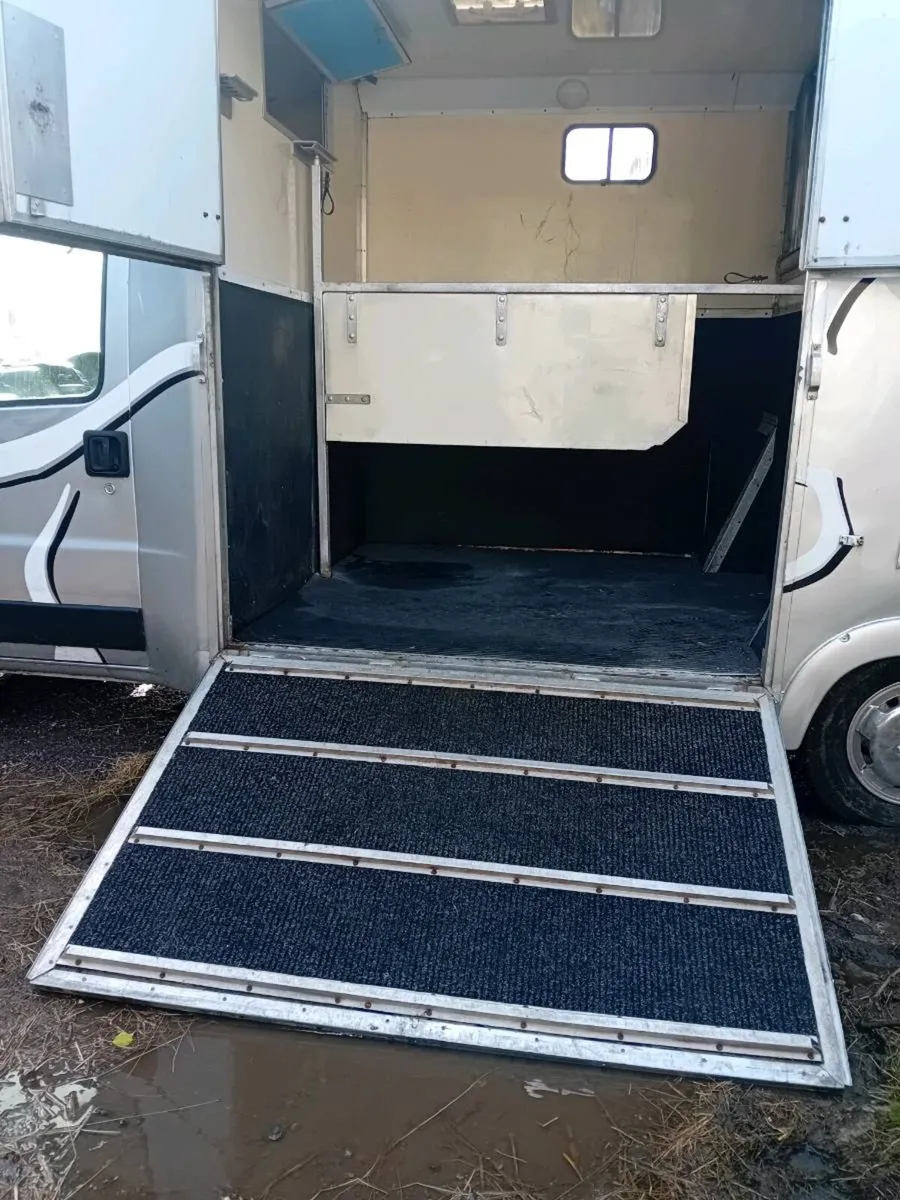 Horsehorses for sale van - Image 4