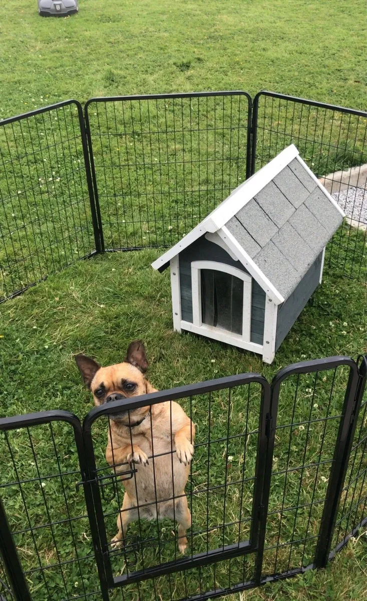 Small dog house and pen - Image 4