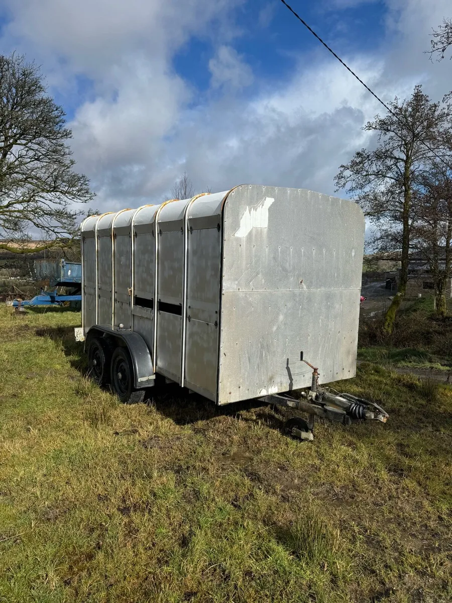 Ifor Williams Trailer - Image 1