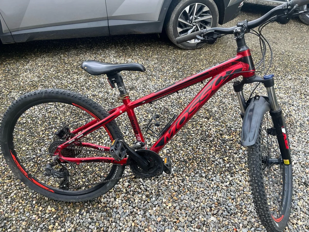 Mountain bike - Image 1