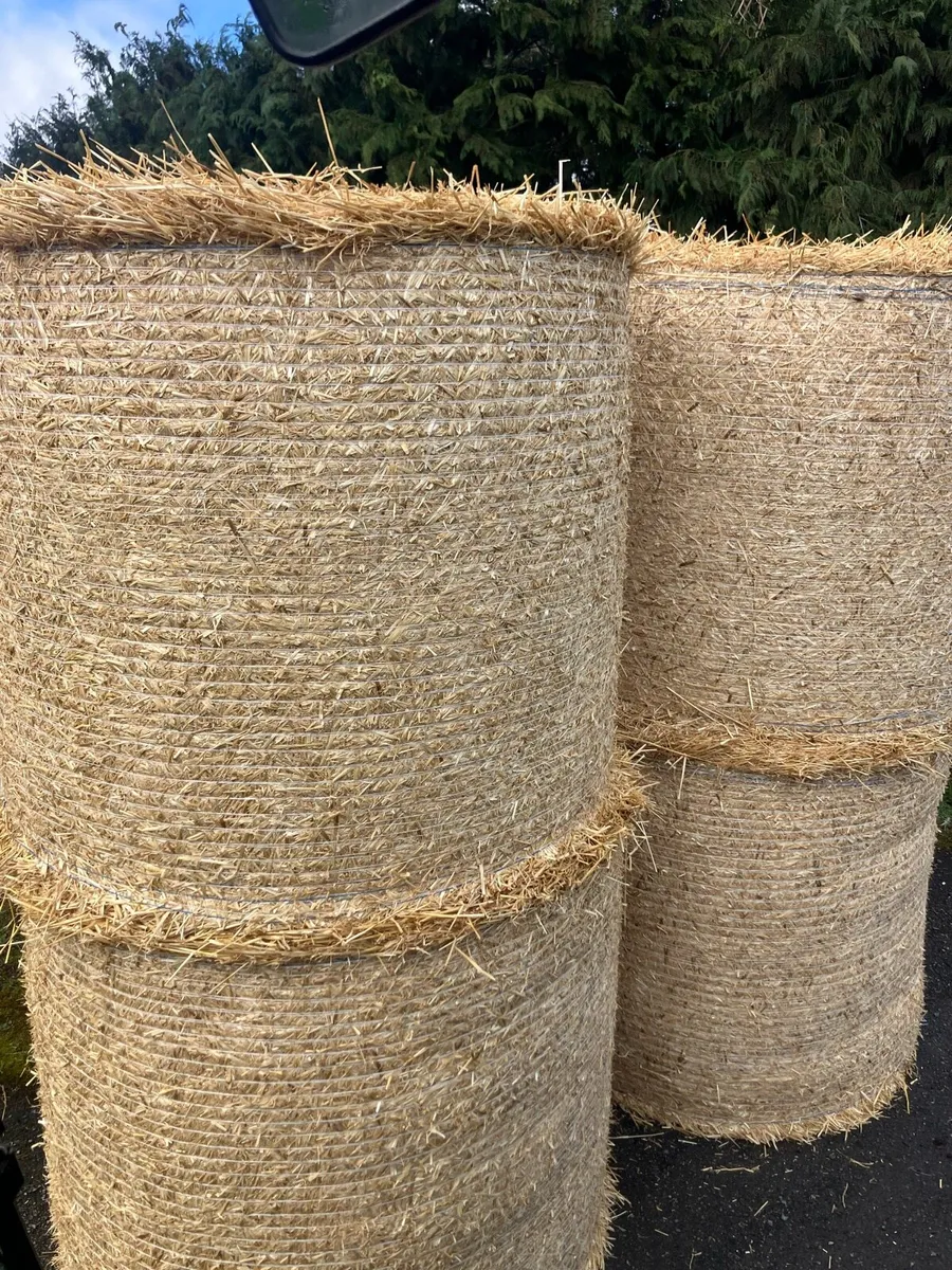HAY & STRAW         **ALL TOP QUALITY ** - Image 2