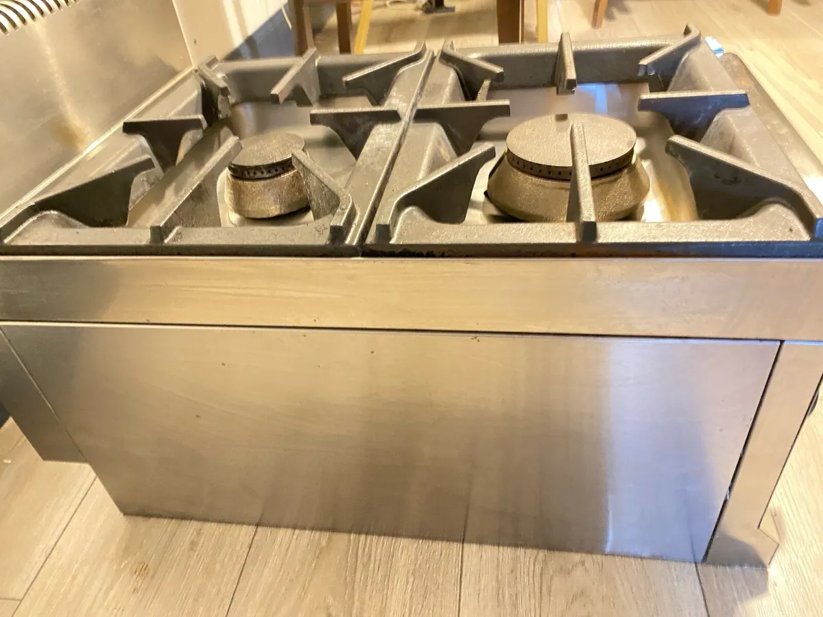 Professional commercial Natural gas burner 2 c - Image 1