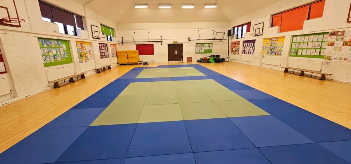 Martial art judo mats - Image 1