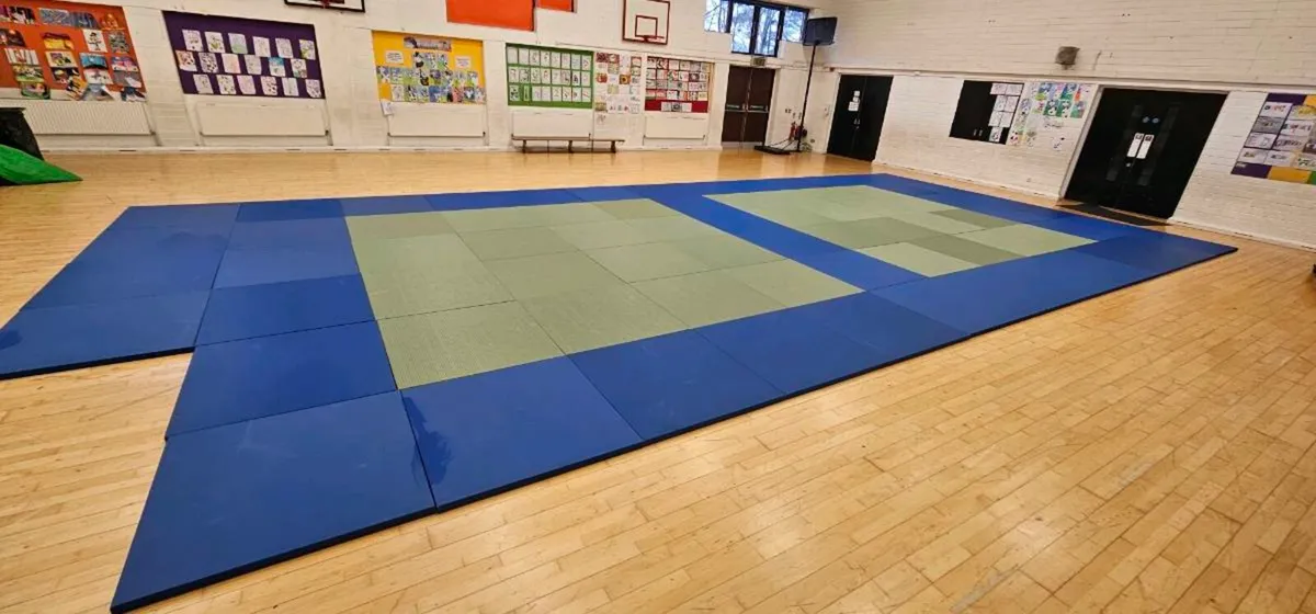 Martial art judo mats - Image 2