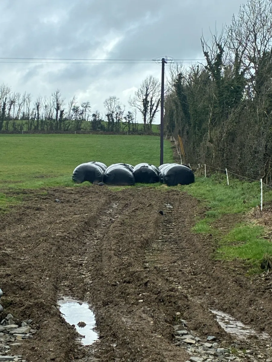 Round bales