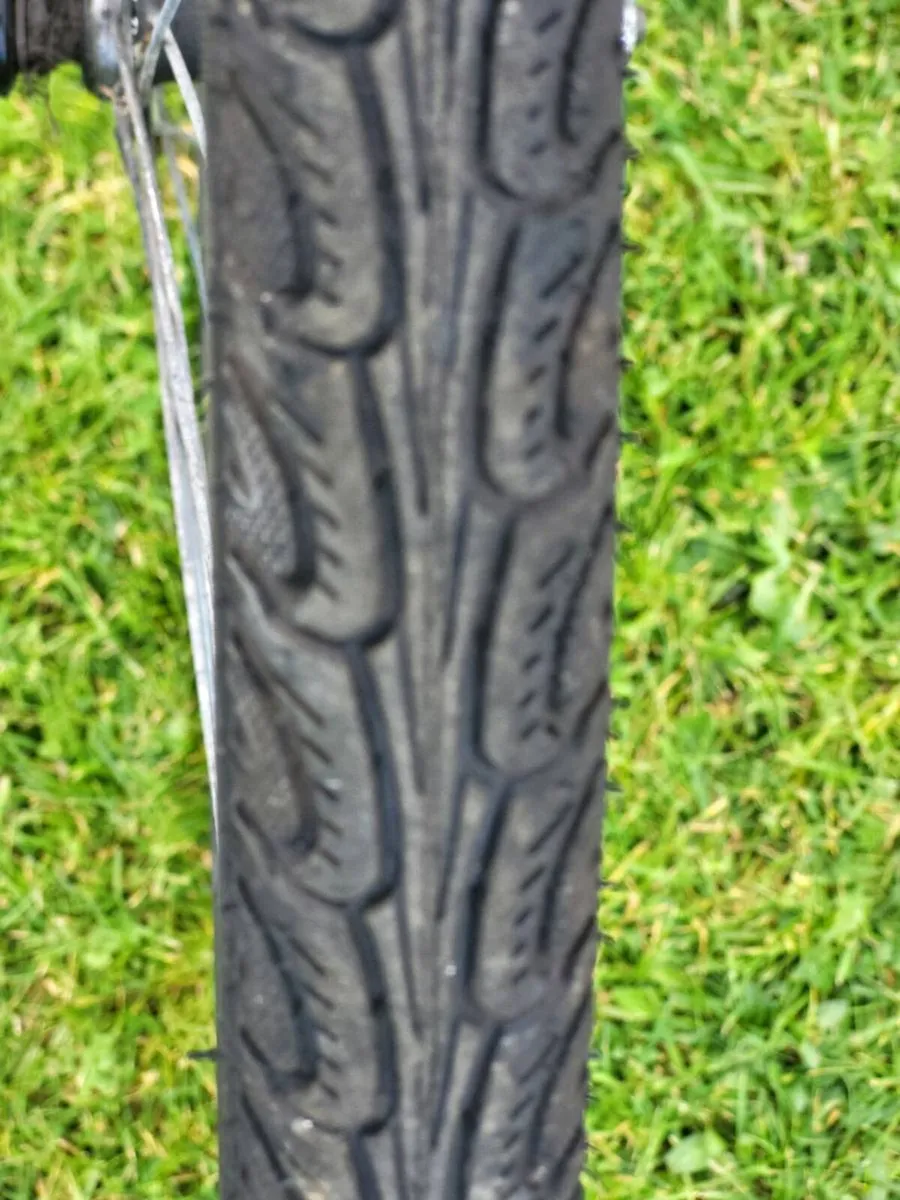 LADIES BIKE N BASKET READY TO USE - Image 3