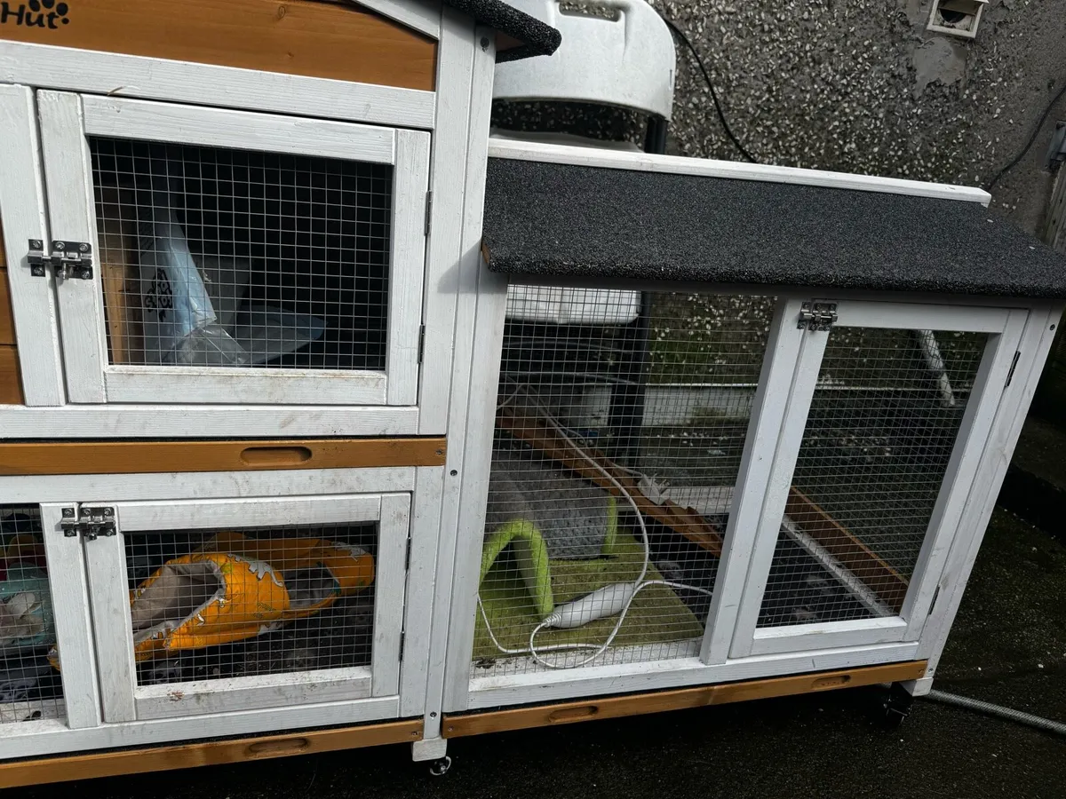 Rabbit Hutch - Image 4