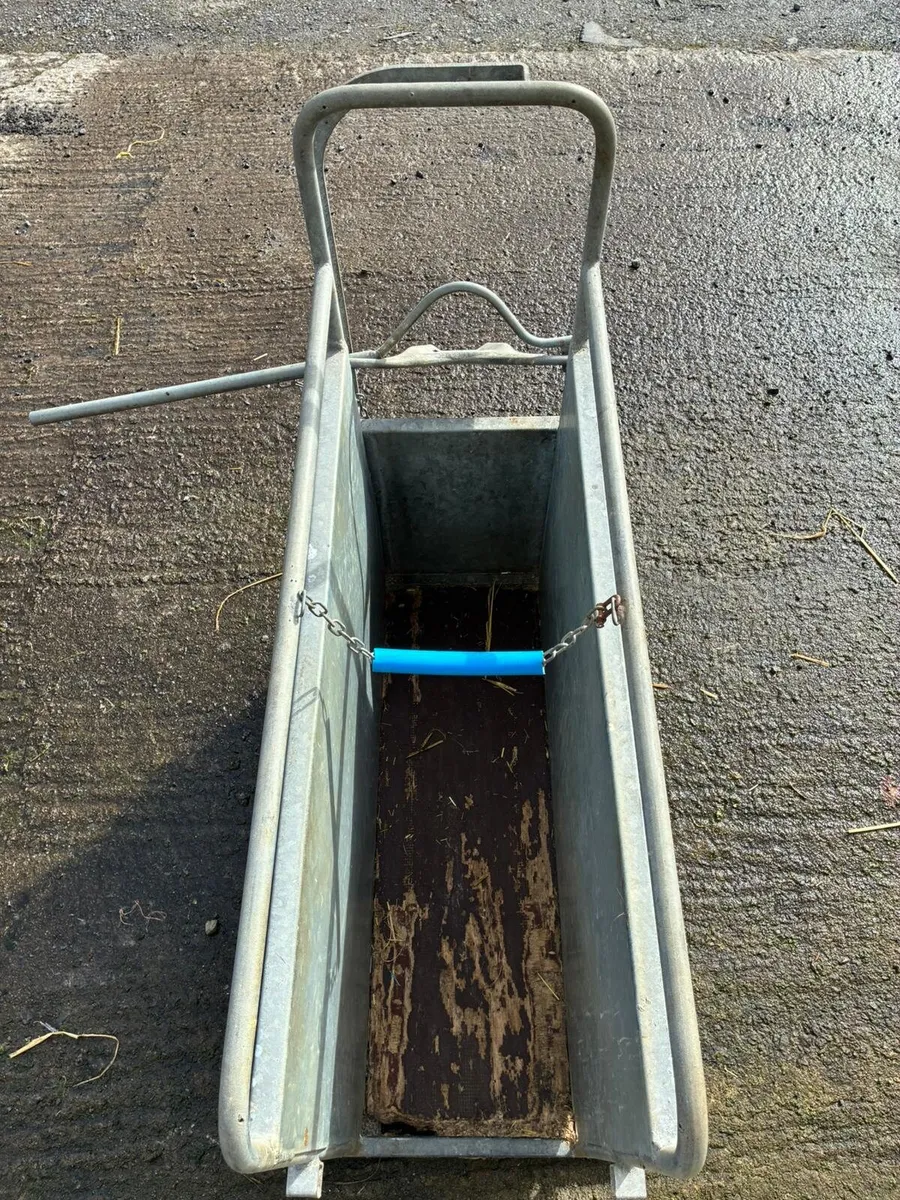 Nugent calf dehorning crate - Image 3