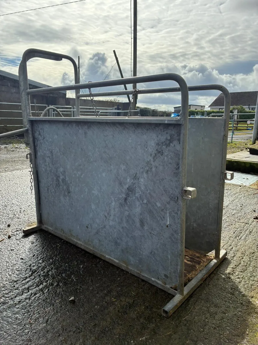 Nugent calf dehorning crate - Image 4