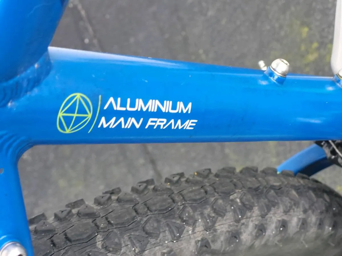 CARERRA BIKE..NO offers - Image 2