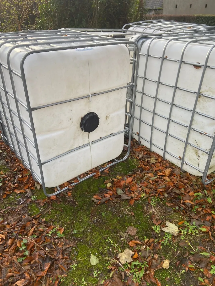 1000 ltr IBC Tank - Image 2