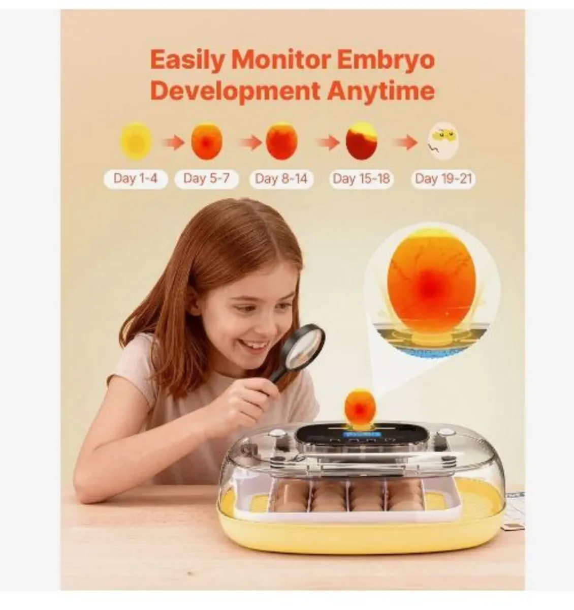 24 Egg Incubator, Automatic Egg Turner - Image 4