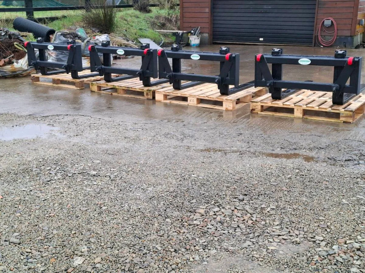 Pallet forks - Image 1