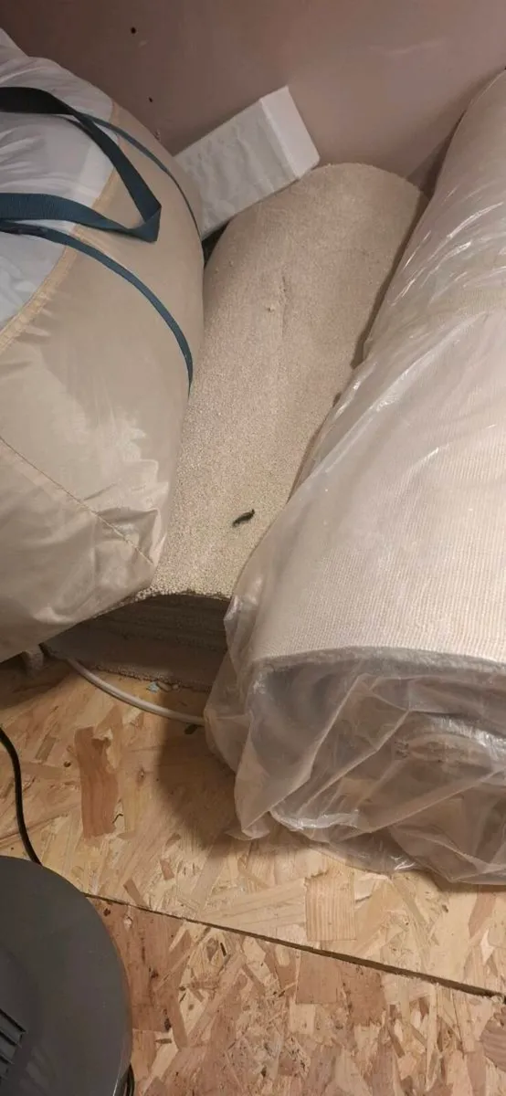 Carpet Roll + Offcut – Beige (1.08m Wide, 5m + 2m) - Image 2