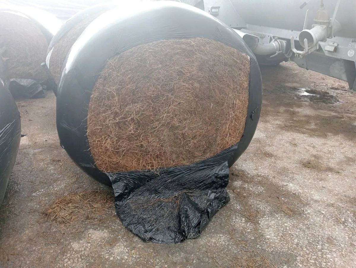 Silage bales - Image 2