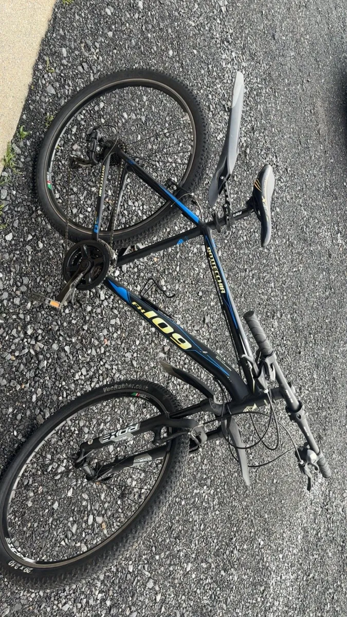 Bottecchia FX 109 mountain bike - Image 2