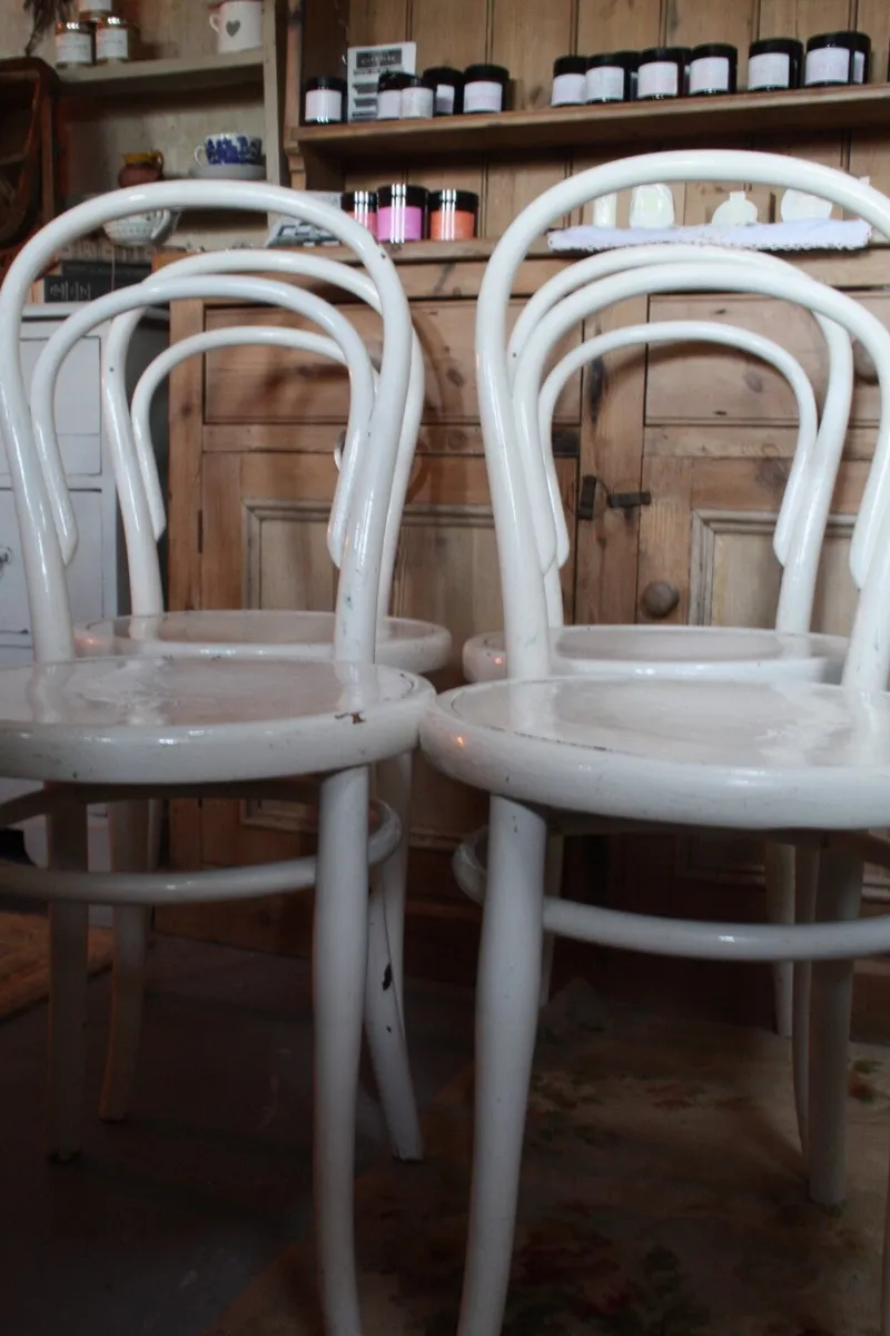 Set of 4 Antique Bentwood Chairs - Image 2