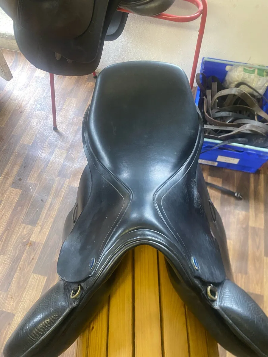 Euroriding Leather jumping saddle 16.5-17” - Image 2