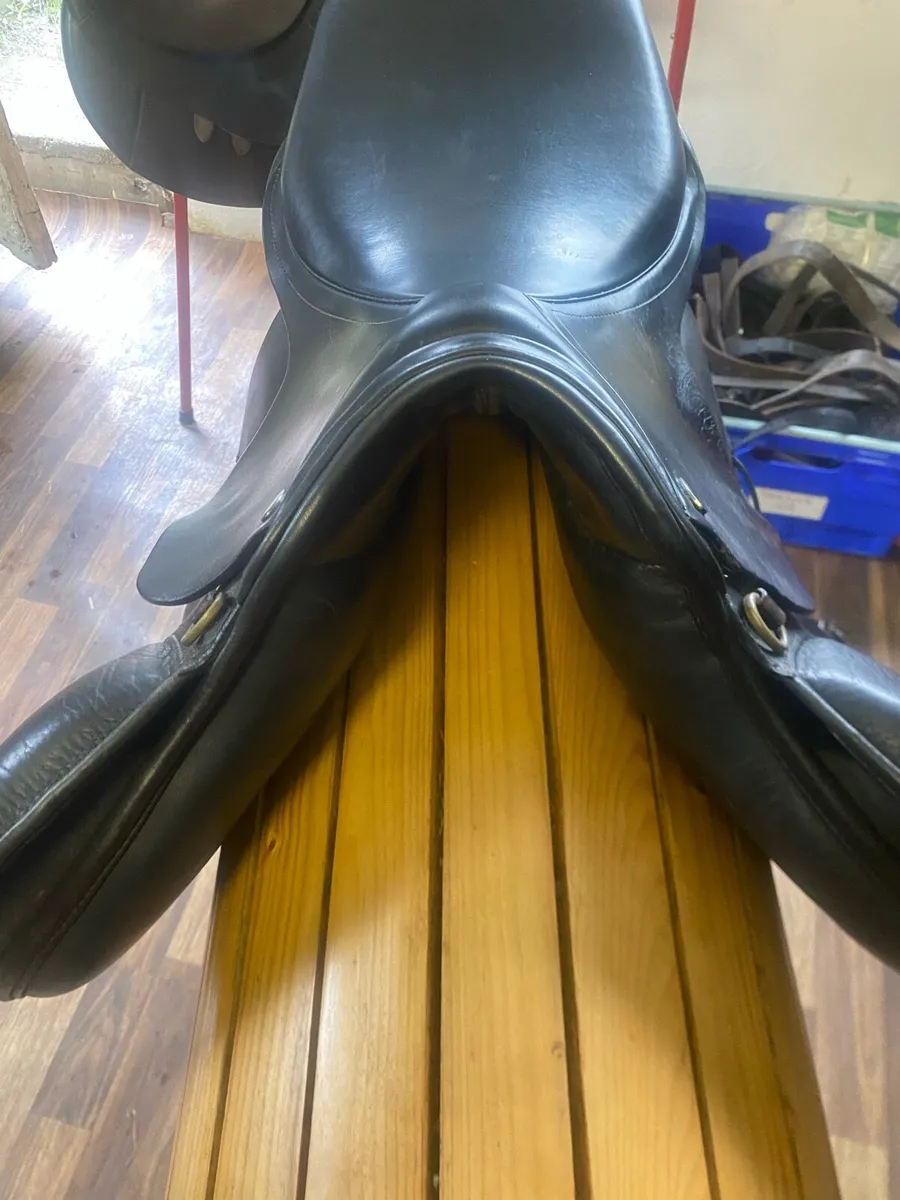 Euroriding Leather jumping saddle 16.5-17” - Image 3