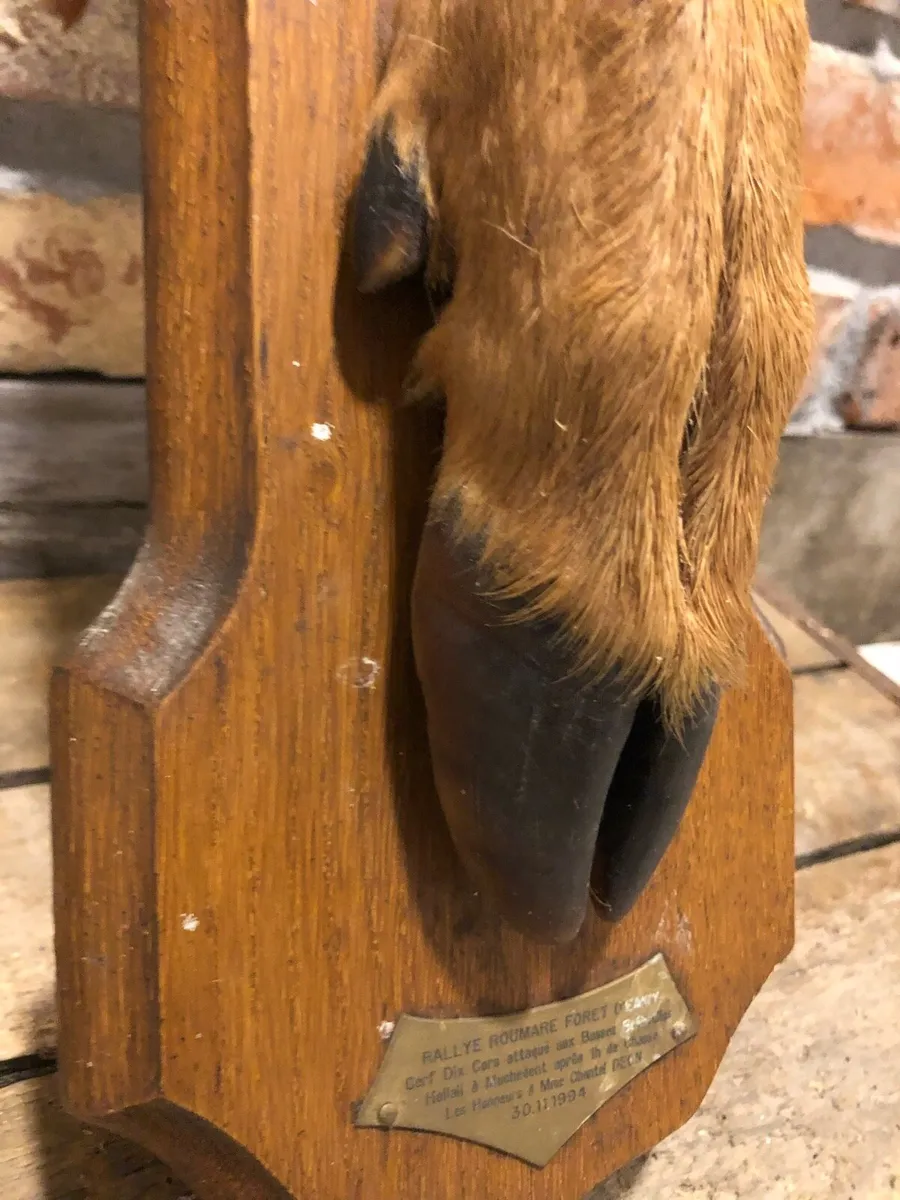 Vintage Hunting decoration - Image 2