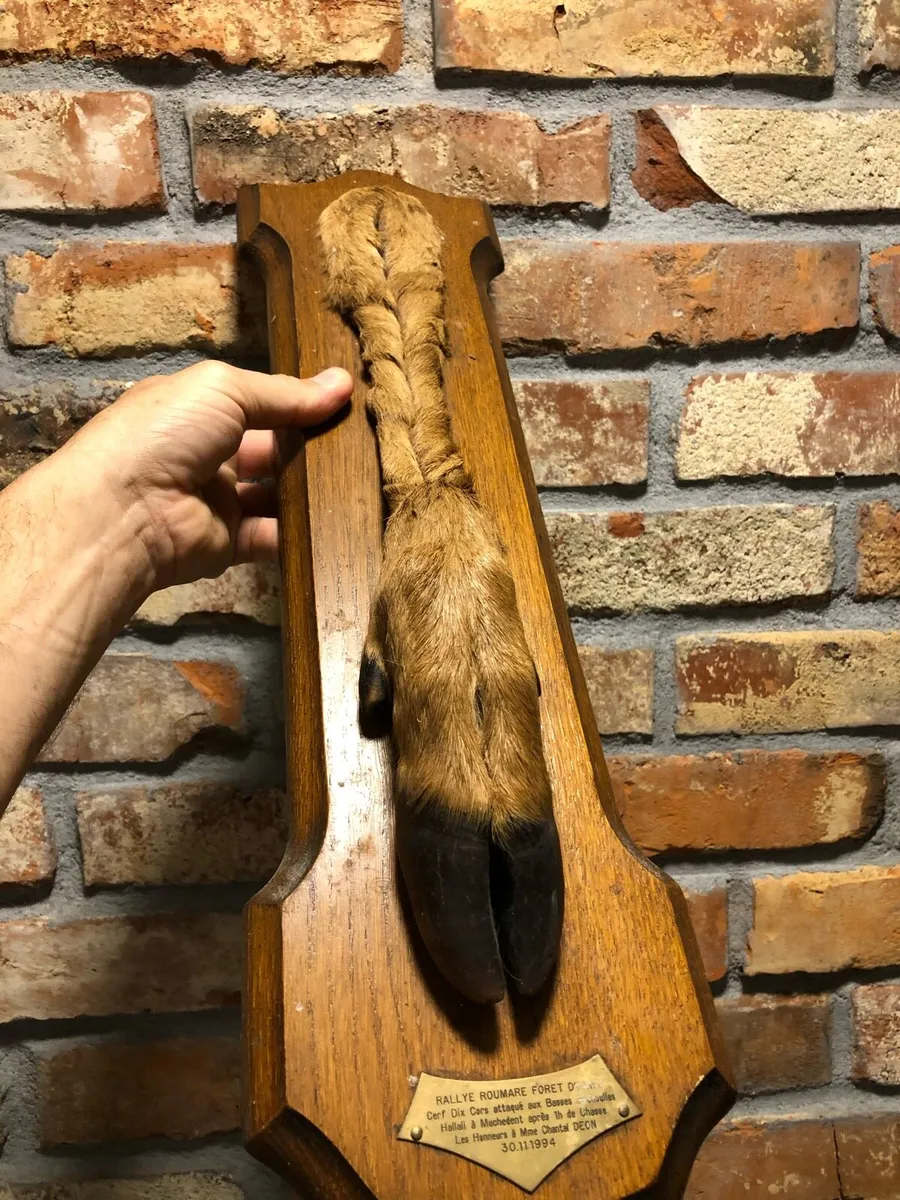 Vintage Hunting decoration - Image 4