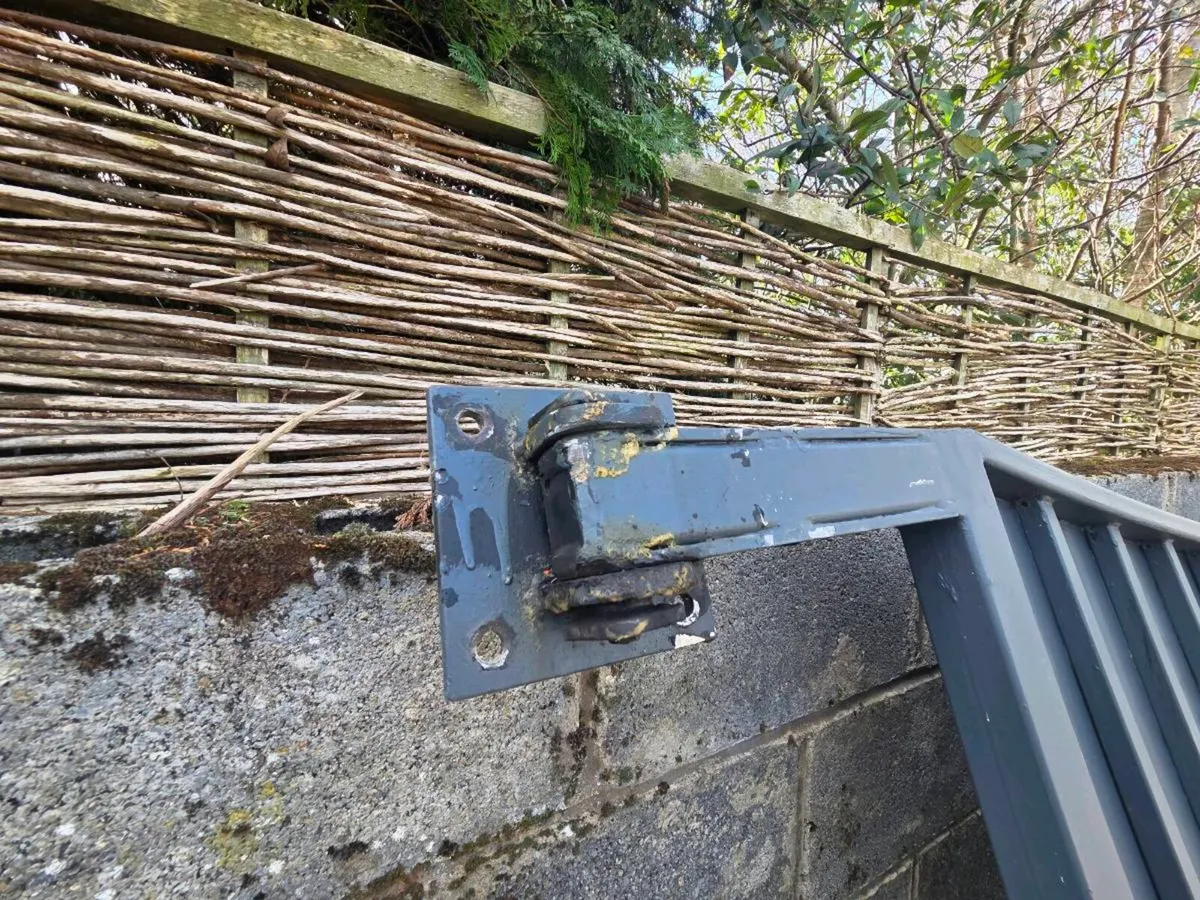 Large metal Garden Gate - Image 3