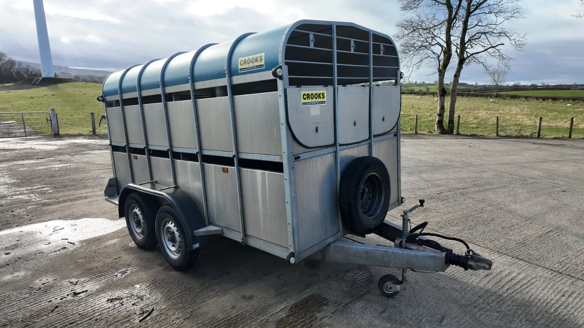 2016 Crooks 12' c/w Decks In MINT Condition - Image 3