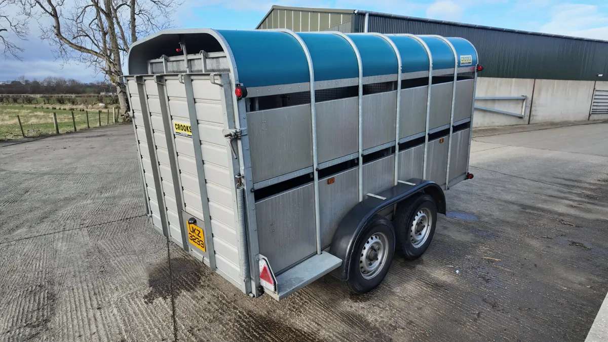 2016 Crooks 12' c/w Decks In MINT Condition - Image 4