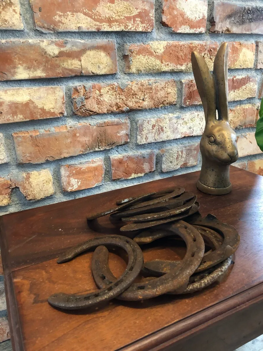 Vintage Horseshoes - Image 1
