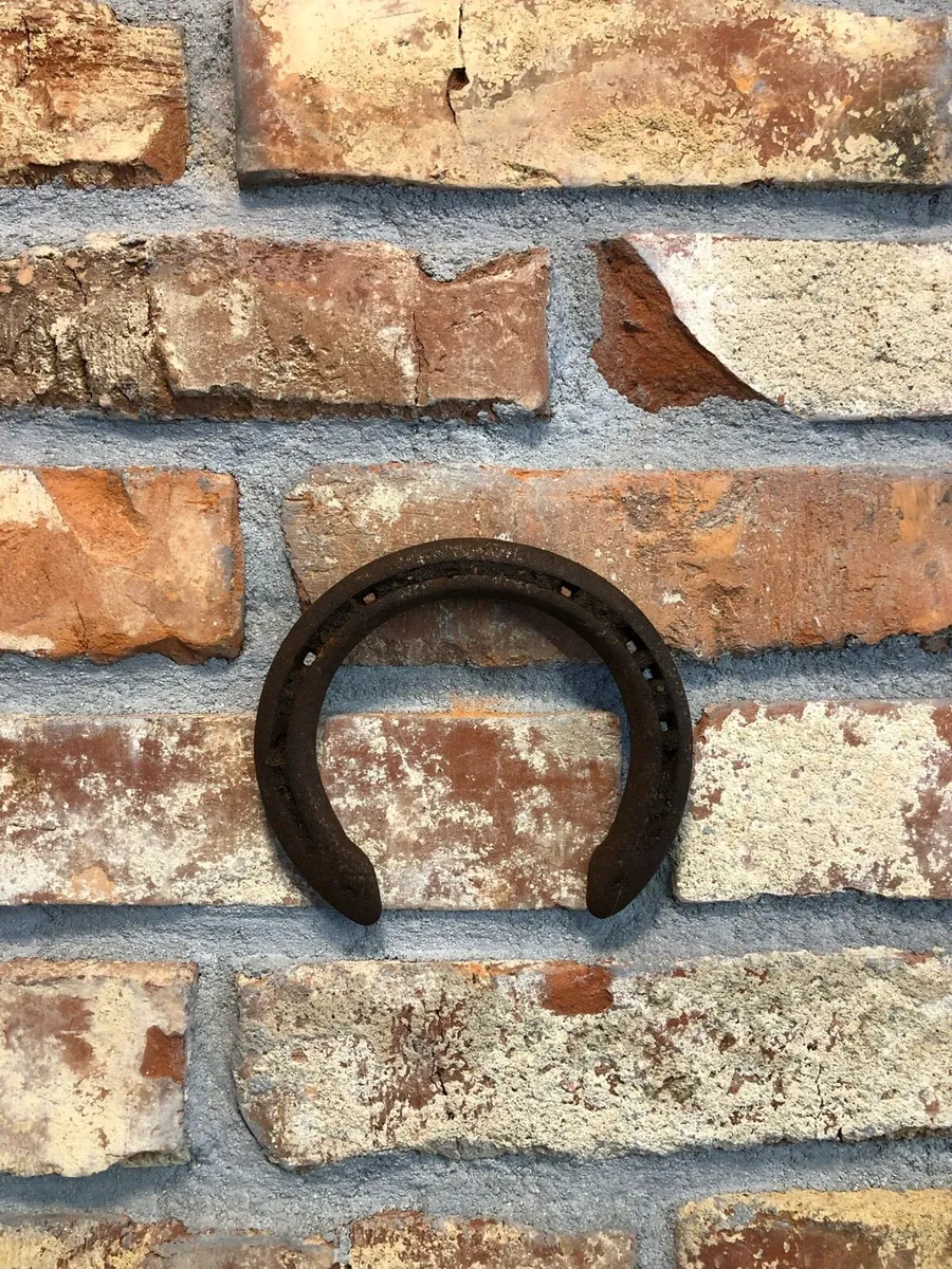 Vintage Horseshoes - Image 3