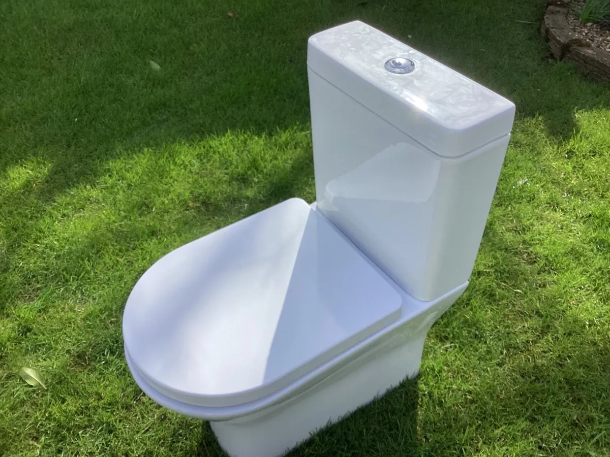 Toilet and Cistern - Image 1
