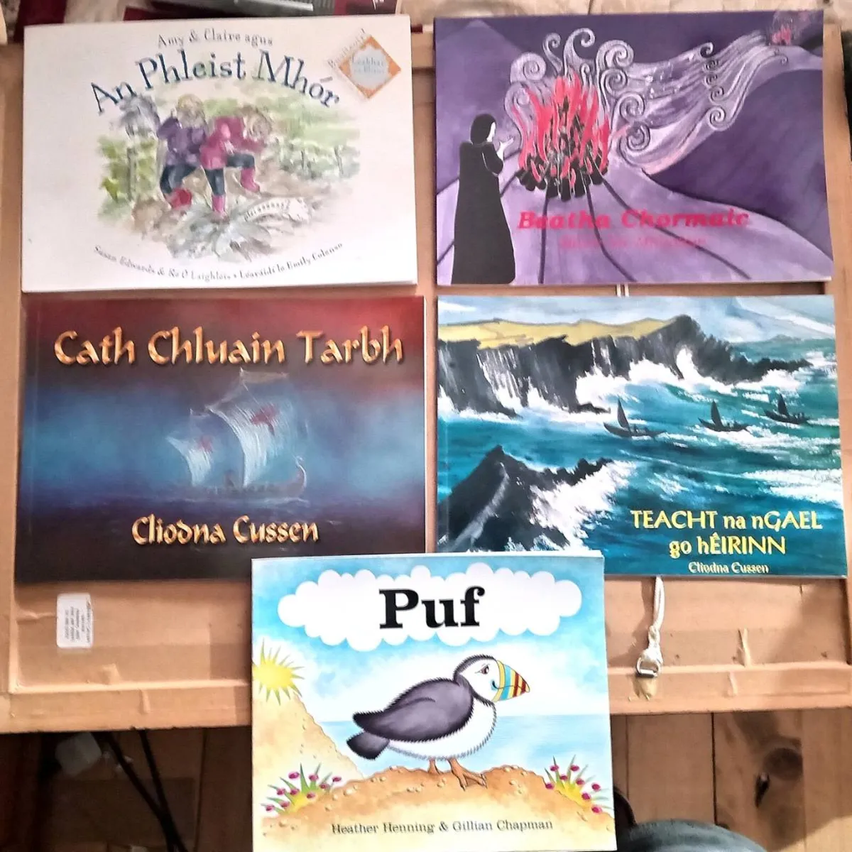 Five Childrens Irish Books