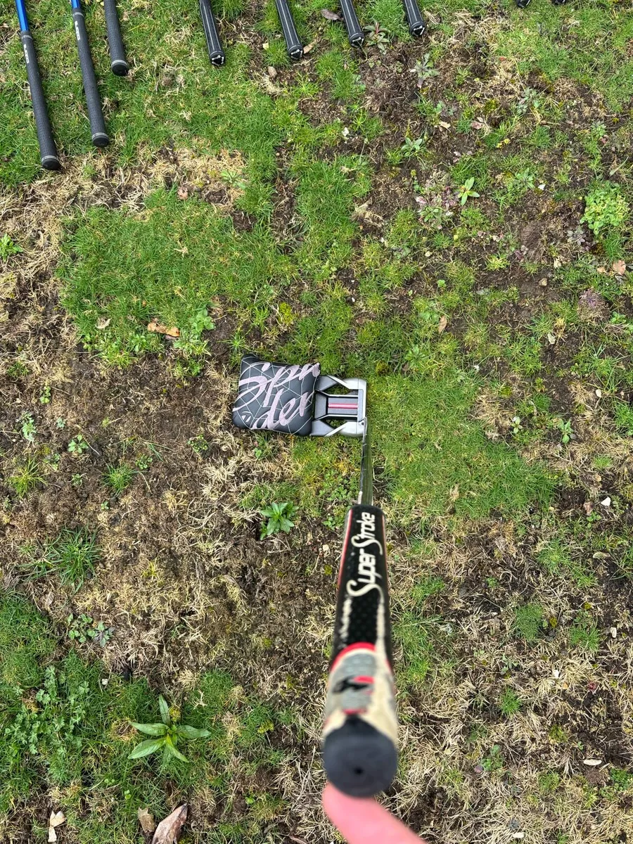 Golf clubs and bag - Image 4