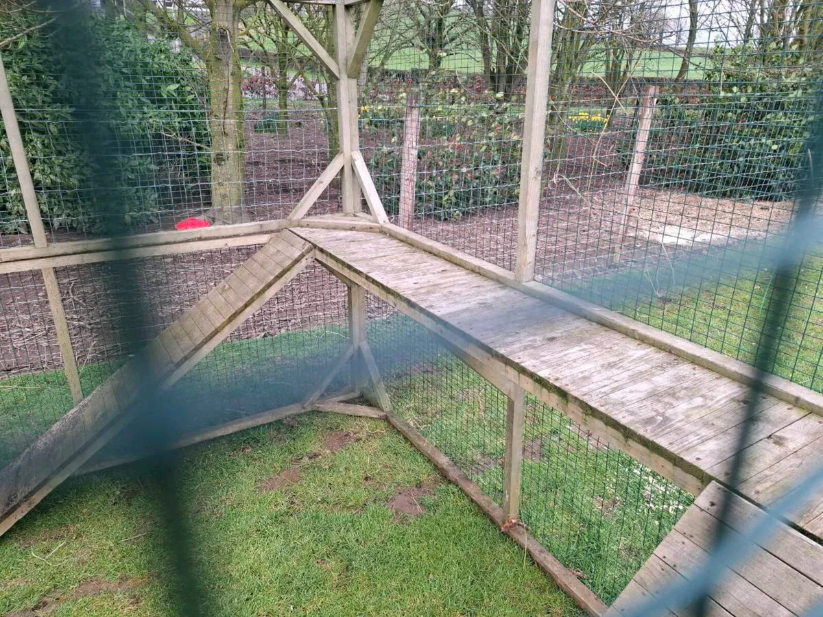Pet enclosure - Image 3