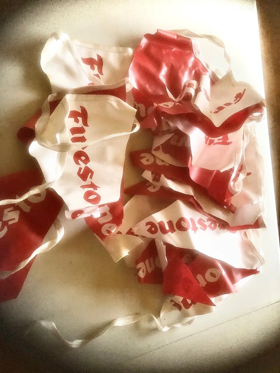 🟢Firestone Bunting🟢 - Image 2