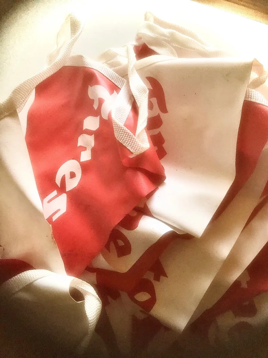 🟢Firestone Bunting🟢 - Image 3