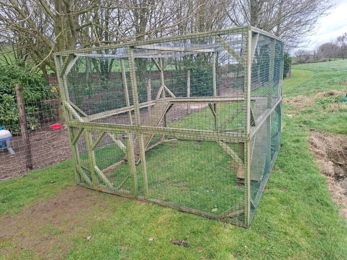 Chicken coop pet enclosure - Image 3