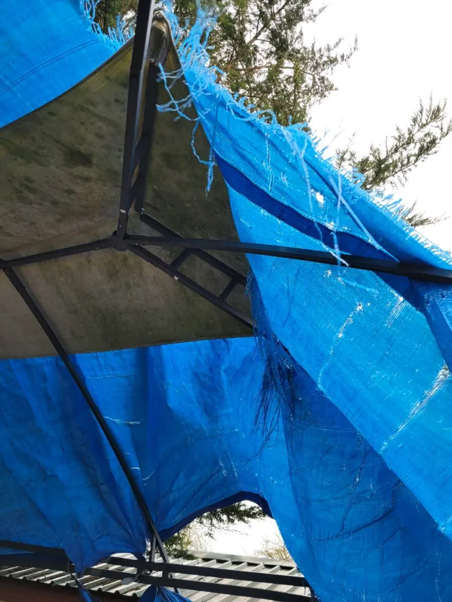 Gazebo frame - Image 1