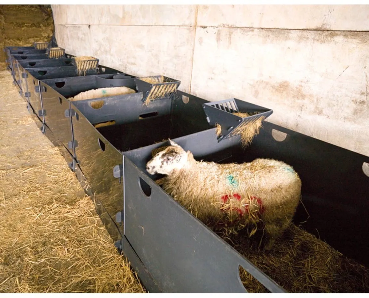 Sheep Pens - Image 1