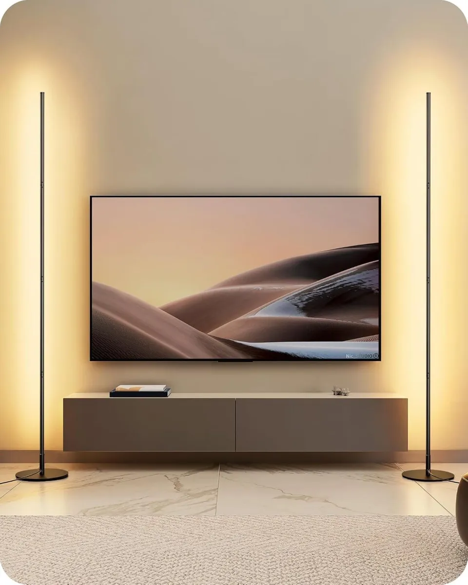 2 Pack LED Floor Lamp 146cm Minimalist Dimmable - Image 1