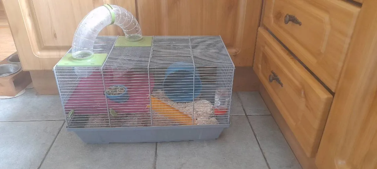Hamster with Cage - Image 1