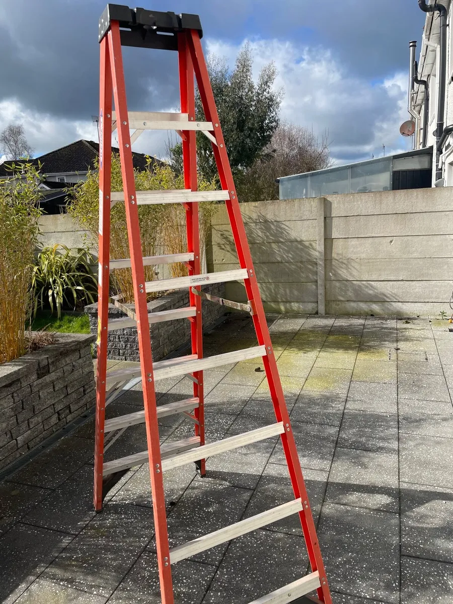 Ladder - Image 4