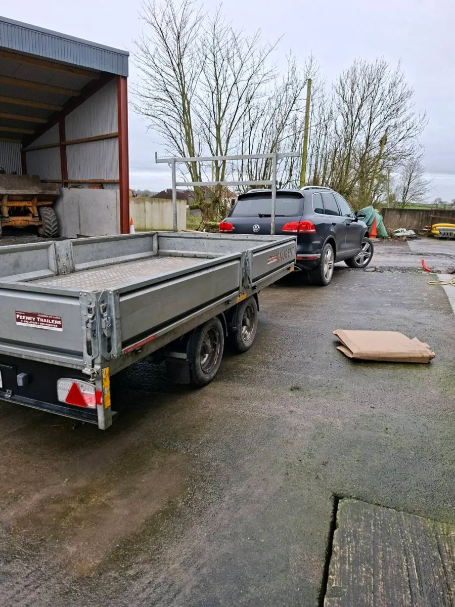 Nugent 12 x 6 6" - Image 1