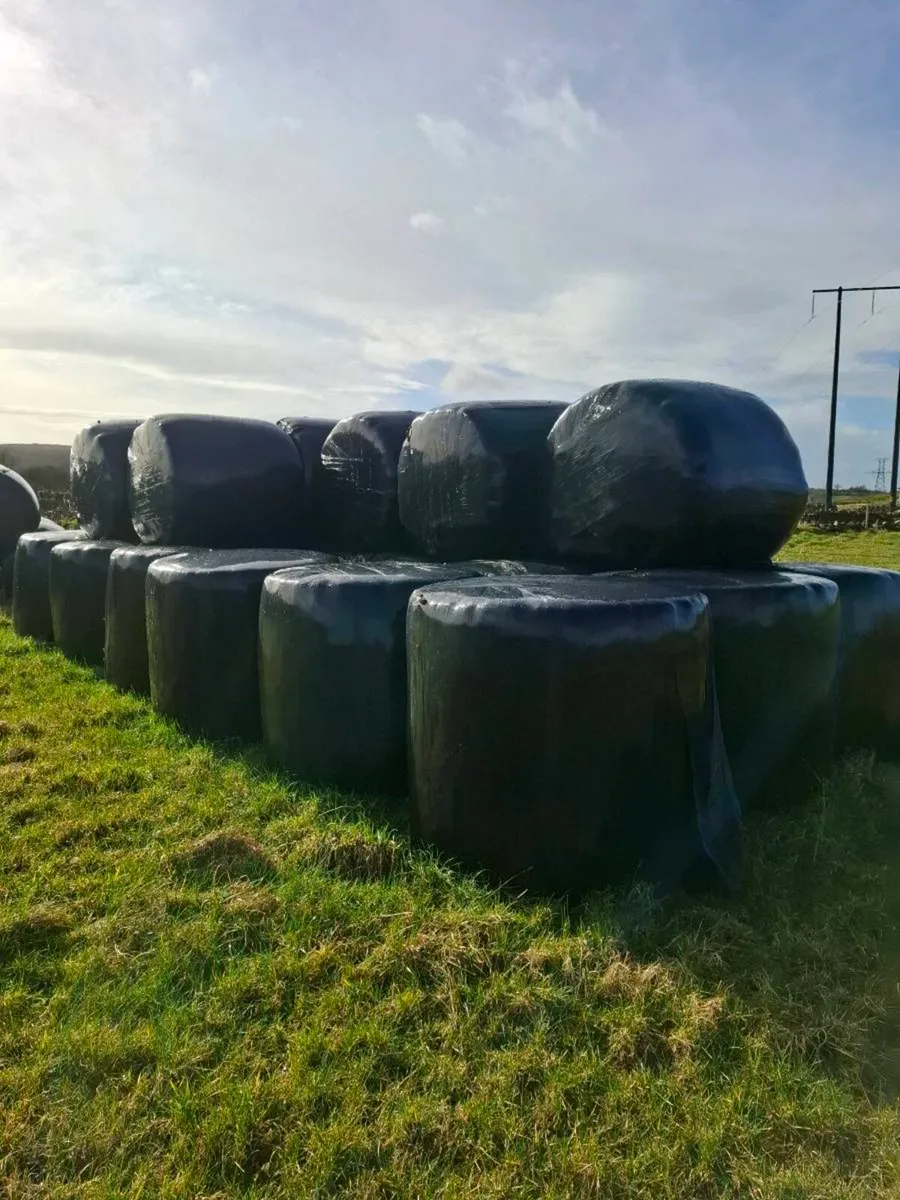 Sillage Bales - Image 1