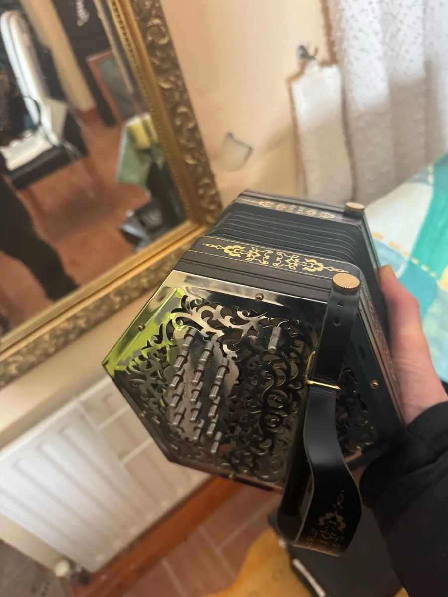 Concertina - Image 3