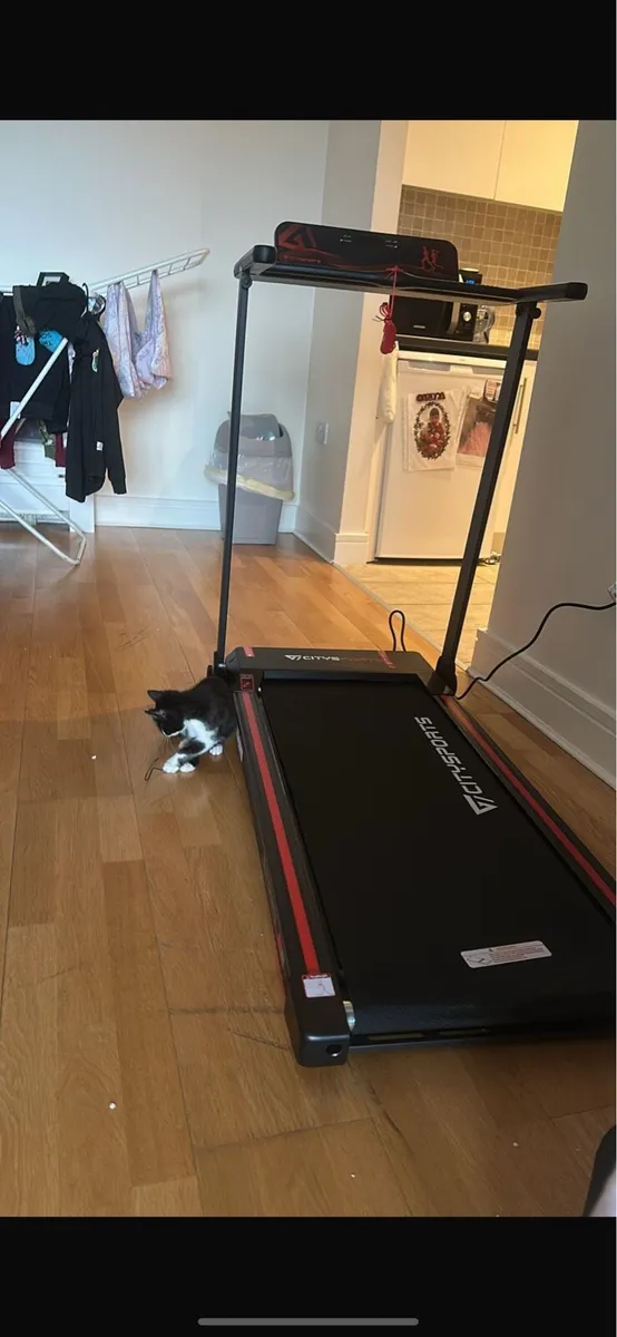 Walking pad - Image 2