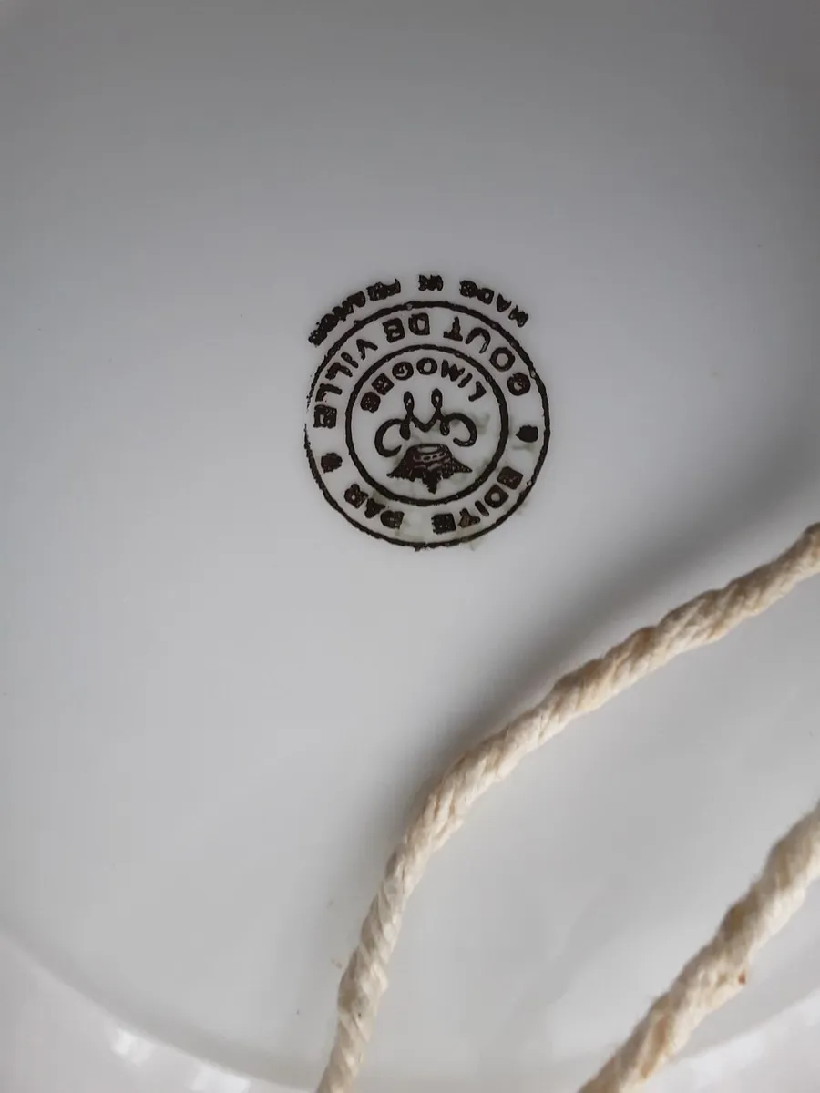 Lovely vintage Victorian wall plate - Image 3